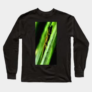 Day Gecko, Madagascar Long Sleeve T-Shirt